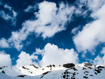 Low angle view of trees against sky during winter