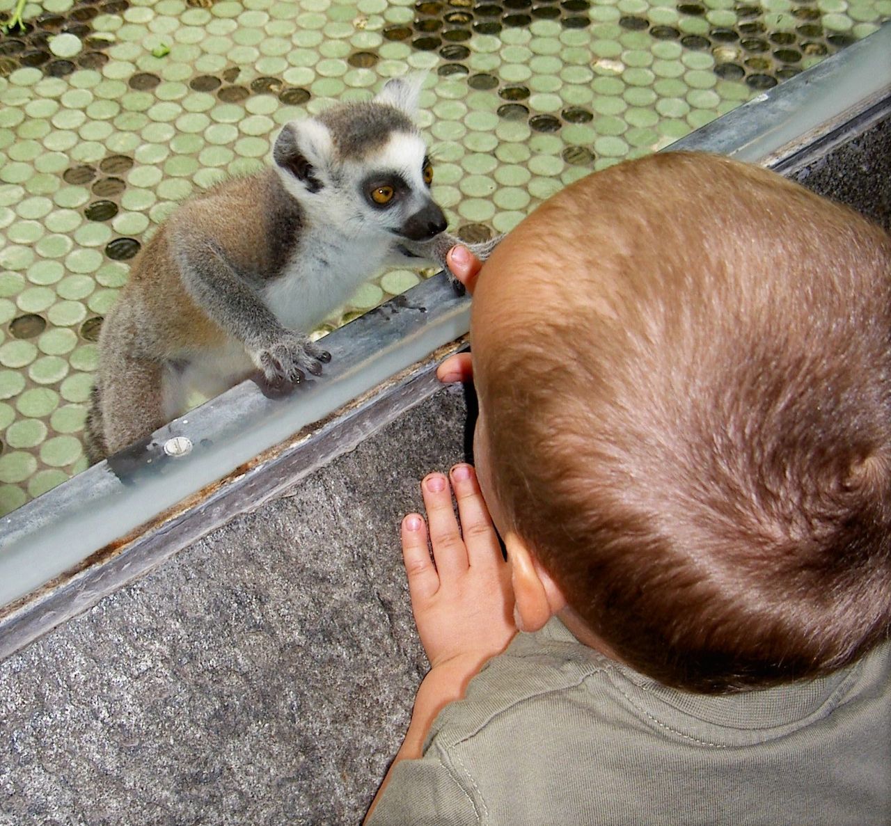 Zoologischer Garten Hellabrunn