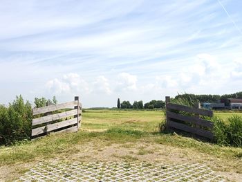 Empty bench on grassy field
