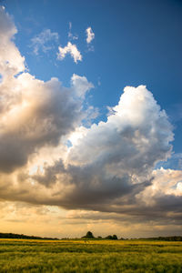 Scenic view of field against sky during sunset