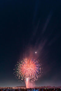 Low angle view of firework display at night
