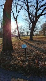 Trees in park against sky