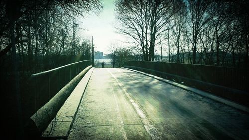 Empty road along bare trees