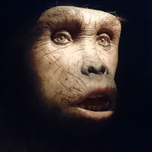 Close-up portrait of man against black background