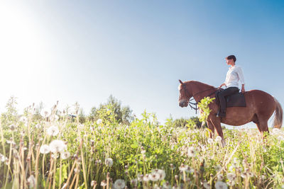 Man riding horse on field against sky