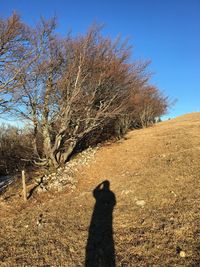 Shadow of person on field against clear sky