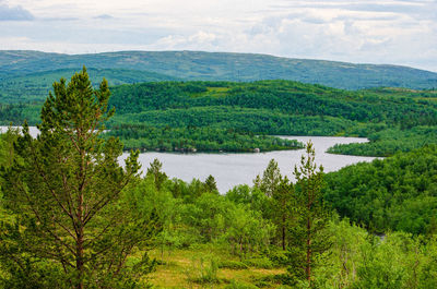 Scenic view of lake in forest against sky