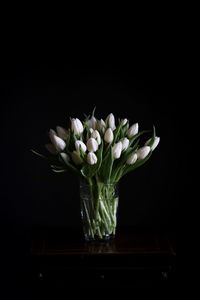 Close-up of flowers against black background