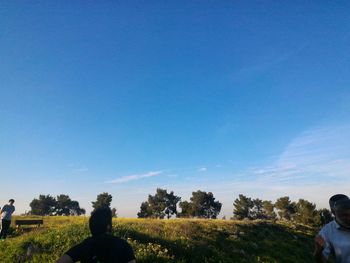 Trees on field against blue sky