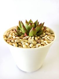 High angle view of candies in bowl against white background