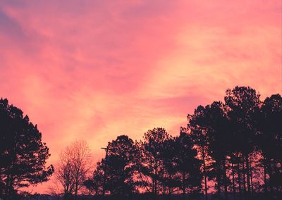 Low angle view of silhouette trees against dramatic sky