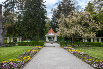 Footpath in park