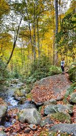 People in forest