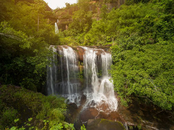 Scenic view of waterfall in forest