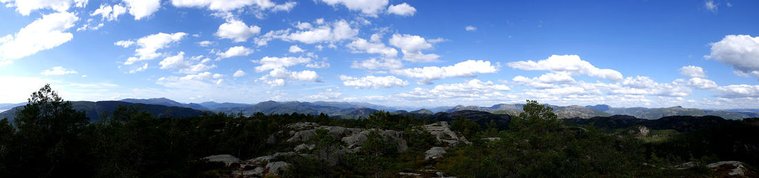 Panoramic view of trees on landscape against sky