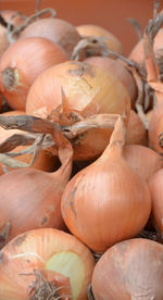 Close-up of pumpkins for sale