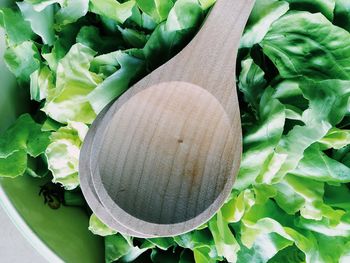 High angle view of vegetables