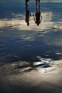 Low section of people walking on beach