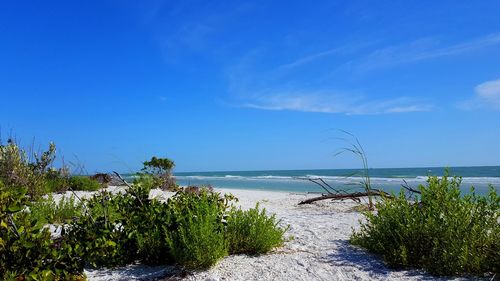 Scenic view of sea against blue sky