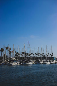 Sailboats in harbor against blue sky