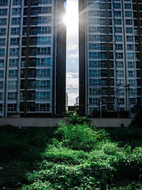 View of city buildings