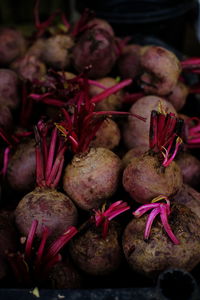 Close-up of vegetables for sale at market stall