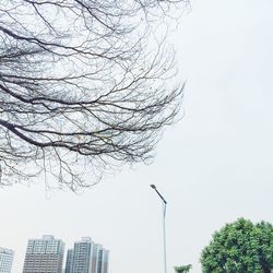 low angle view