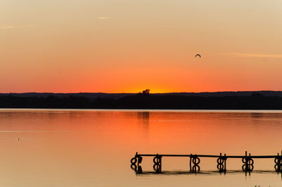 Silhouette of birds flying over lake