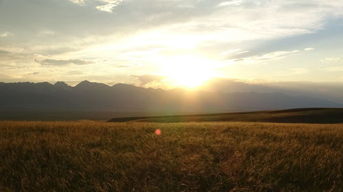 Scenic view of field against sky during sunset