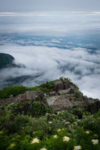 Scenic view of landscape against sky