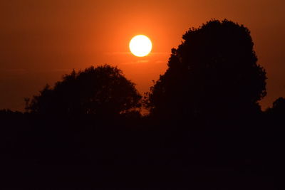 Silhouette trees against sky during sunset