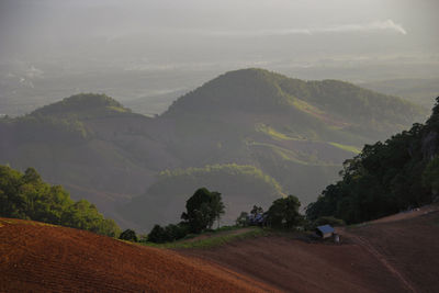 Scenic view of agricultural field against sky