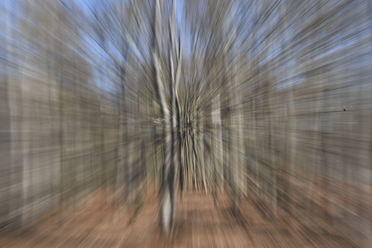 blurred motion, motion, close-up, wood, backgrounds, no people, sunlight, speed, abstract, pattern, line, full frame, floor, long exposure, nature, macro photography, outdoors
