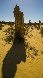 Shadow of sand on desert against sky