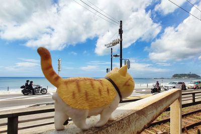 Man standing by railing by sea against sky