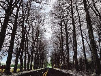 Road amidst bare trees in forest during winter