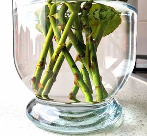 Close-up of drink in glass on table