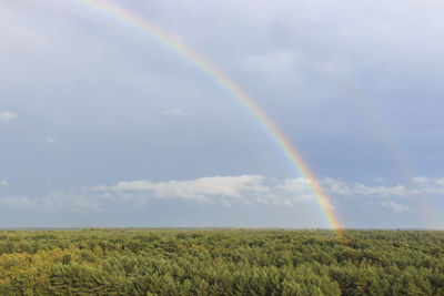 Scenic view of rainbow over grassy field against sky