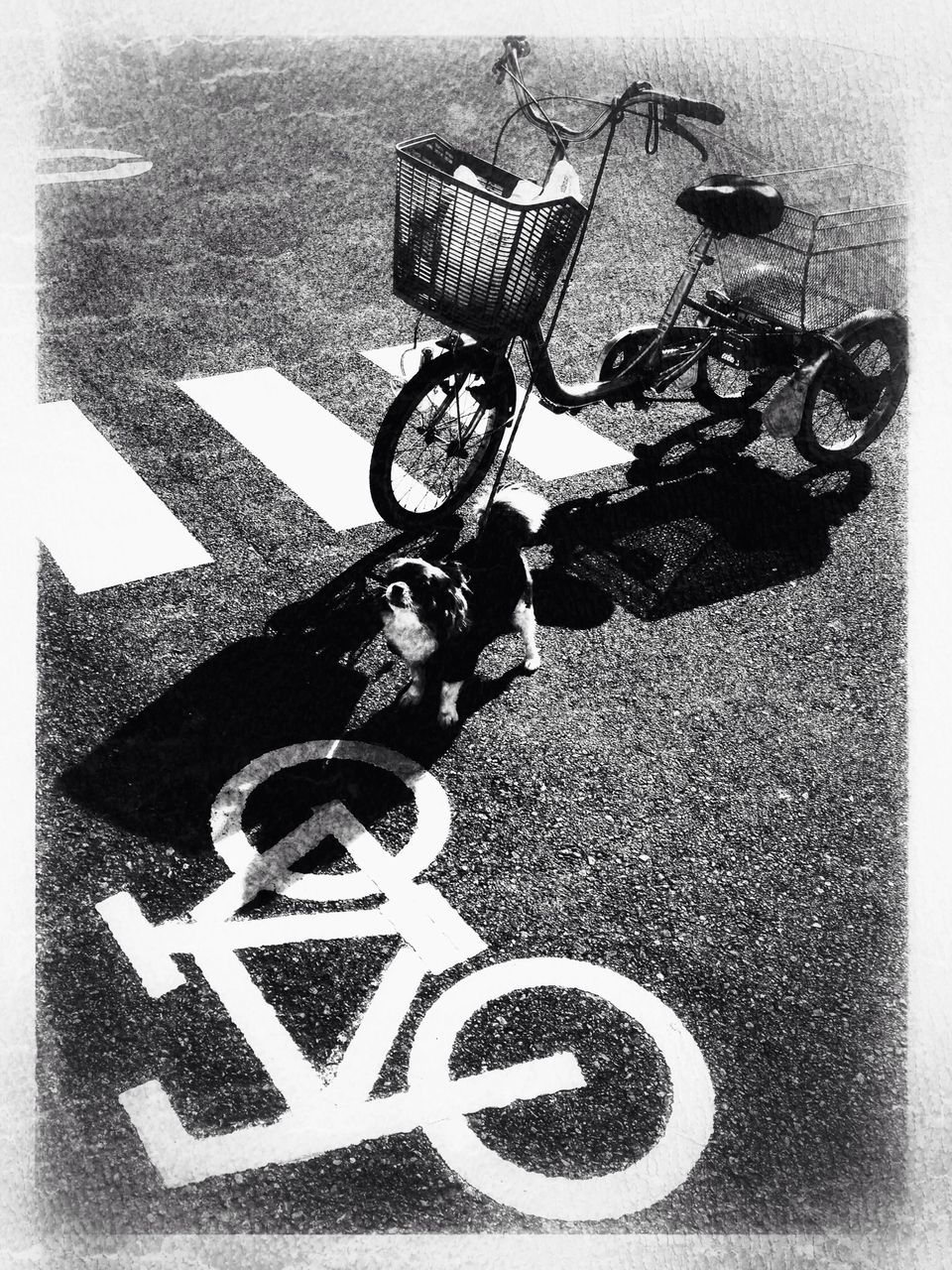 transfer print, bicycle, auto post production filter, transportation, high angle view, shadow, street, sunlight, human representation, day, mode of transport, land vehicle, outdoors, road, text, no people, stationary, childhood, animal representation