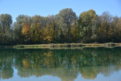 Reflection of trees in lake against sky