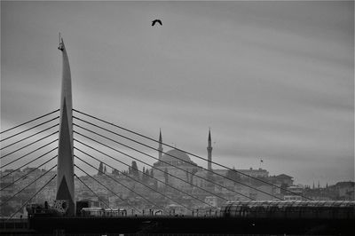 View of birds flying over bridge