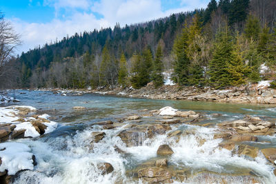 Scenic view of river amidst trees against sky