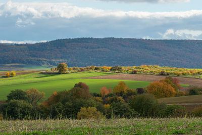 Scenic view of agricultural field against sky