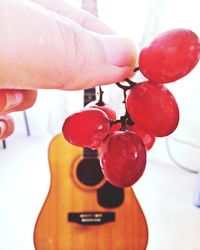 Close-up of hand holding fruit