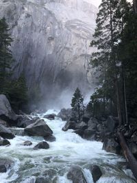 Scenic view of waterfall in forest