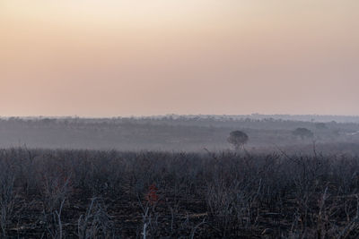 Scenic view of field against sky during sunset