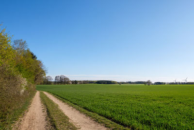 Scenic view of agricultural field against clear sky