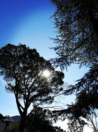 Low angle view of silhouette trees against clear blue sky