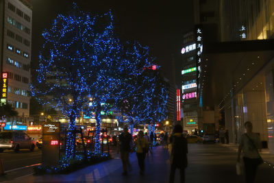 Illuminated christmas tree at night