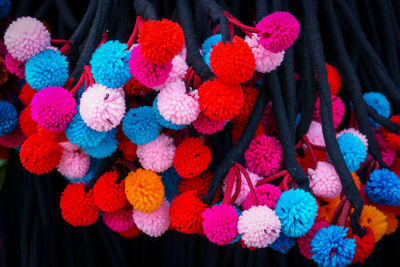 Close-up of multi colored flowers